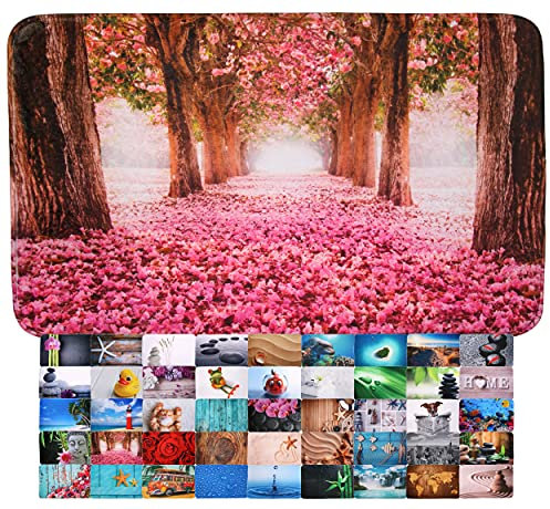 Sanilo Tapis de Salle de Bain, Grande sélection de Beaux Tapis de Douche, Absorbant, Antidérapant, Très Doux, Sèche Rapidement, Lavable (50 x 80 cm, Romantique)