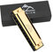 EastRock Blues Mundharmonika Mundorgel 10 Loch C Key mit Etui Diatonische Mundharmonika für Profispieler, Anfänger, Studenten, Geschenke, Erwachsene, Freunde, Geschenk (Gold)