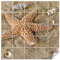 GRAZDesign Fliesenaufkleber Bad Klebefliesen Badezimmer Muschel braun Fliese selbstklebend - 20x25cm / Seestern am Strand