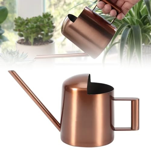 Annaffiatoio per piante da interno, 300 ml, mini annaffiatoio HOMURY in acciaio inox con collo lungo in metallo, in acciaio inox, piccolo annaffiatoio da giardino, per piante in vaso/sospese, casa,