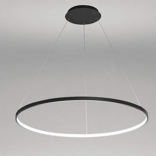 1 Luz Círculo Luz Colgante LED Metal Acrílico Lámpara De Araña Moderna Suspendida Ajustable Luz Colgante para Sala De Estar Dormitorio Cocina,Black+WhiteLight-60cm