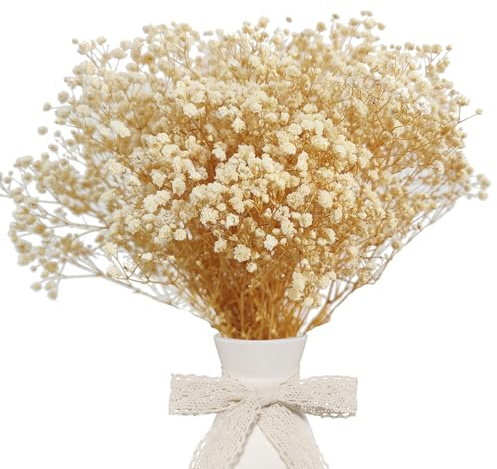 CoolCrafts Getrocknete Schleierkraut Natürliche Weiße Trockenblumen für Basteln, Hochzeiten und Dekoration