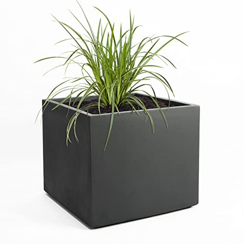 Pflanzwerk® Jardinera Fibra de Vidrio XXL Cube Antracita 53x65x65cm *Maceta a Prueba de heladas* *Protección UV* *Calidad Europeo*