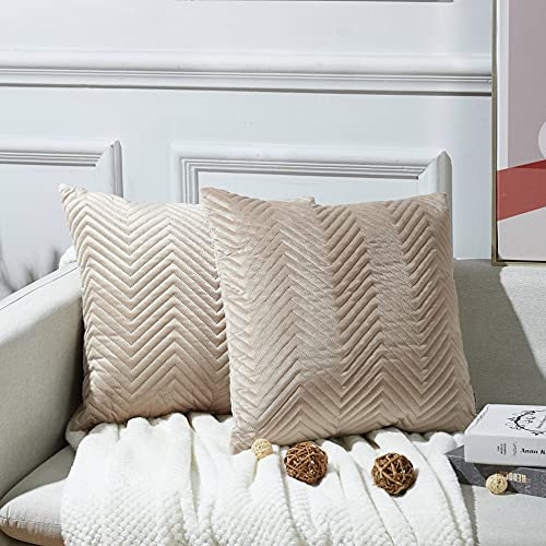 Juliyeh 2er Set Samt Kissenbezug Kissenbezüge Kissenhülle Dekorative Kissenbezug Zierkissenbezüge Sofakissen Sanft Einfarbige Moderne Quadratische Kissenbezug für Sofa Wohnzimmer 60x60 cm Taupe