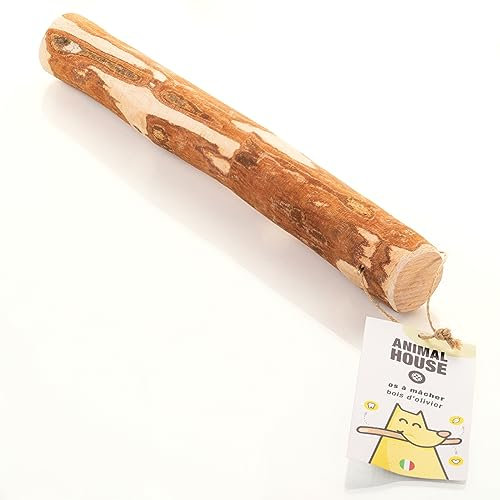 Animal House - Bois d'olivier pour Chiens - Mâchage Naturel - Anti-Stress - Résistant et Durable - Renforce l'hygiène buccale - Haute qualité (XL)