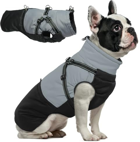 Hjumarayan Hundemantel mit Geschirr, Hundemantel Winter für Kleine Mittelgroße Grosse Hunde, Hundejacke Wasserabweisend und Warm Mantel Gefüttert Wintermantel Hund, Schwarz L