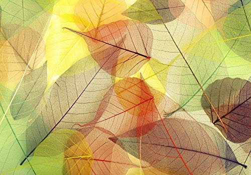 wandmotiv24 Fototapete Gelb Rot Blätter, XL 350 x 245 cm - 7 Teile, Wanddeko, Wandbild, Wandtapete, Aquarell, Blatt, Herbst M2091