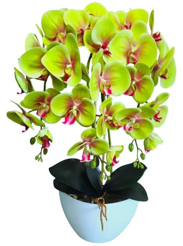 Damich 3pgz künstliche Orchidee, grün, aus Gummi, wie lebendig