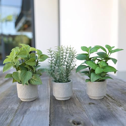 mucplants Künstliches botanisches Zierkräuter Set, 3 Stück Küchenkräuter in Zement-Töpfen, Basilikum Thymian Minze, Grau, 7,5 x 8 cm Kräutertöpfe Kräuter Küchendekoration