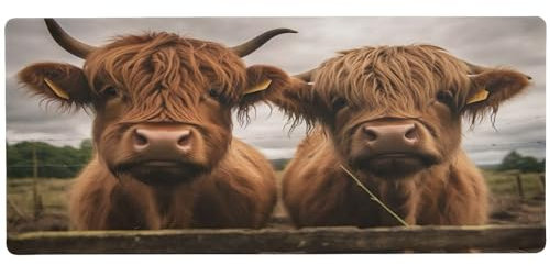 xigua Lustiges schottisches Highland Cattle Cows großes Gaming-Mauspad mit rutschfester Unterseite, verlängertes Mauspad mit genähten Kanten, wasserdichte Schreibtischunterlage, Tastaturunterlage für