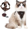 Cat Harness and Leash Set for Kitten, Upgraded Escape Proof Adjustable Vest with Lead for Small Cat Outdoor Walking, Soft Breathable Mesh Jacket with Reflective Stripes for Night… (L, Coffee Brown)