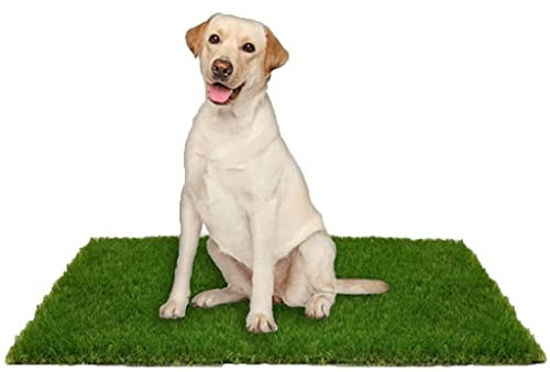 Artificial Grass Tiles Artificial Turf For Dogs, It Is Used To Separate Straw Mats For Pets' Urine And Feces, Easy To Clean (Size : 43x66cm)
