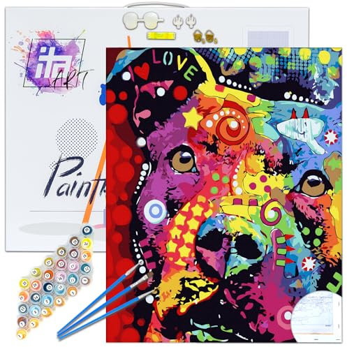 ITA Art Peinture par numéros Kit Complet avec châssis, peintures acryliques, pinceaux, Accessoires, boîte Cadeau - Kit de Peinture DIY avec Toile, 30x40 cm, Carnaval