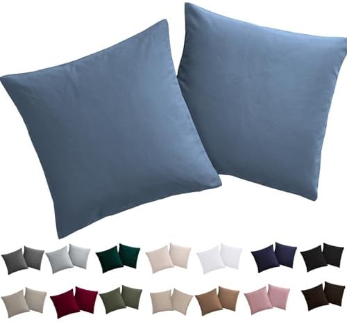 Soifox Kissenbezug 40x40 2er Set - Hellblau kopfkissenbezug Für Kissen 40 x 40 cm 100% Mikrofaser Resistent und Hypoallergen Kissenbezüge mit Reißverschluss
