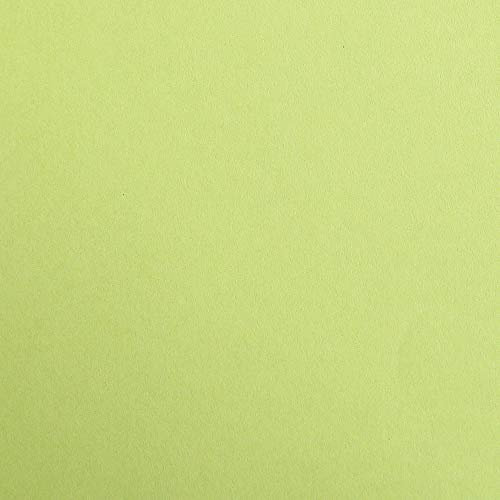 Clairefontaine 48152C Packung (mit 25 Bögen Zeichenpapier Maya, DIN A2, 42 x 59,4 cm,270g, glatt, ideal für Trockentechnik und Einrahmen) lindgrün