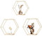 NASSMOSSE 3PCS -Sechskantregale, 3 Größe Goldenes Sechseck schwimmende Regale, minimalistische und schwere hängende Hexagon -Wandregale für Zuhause, Hotel, Restaurant
