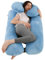 CALIYO Schwangerschaftskissen 2-teilig in U-Form, Seitenschläferkissen mit Bezug, Stillkissen groß, Pregnancy Pillow und Komfortkissen für Erwachsene (Hellblau, Kristallvelour)
