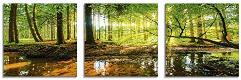 ARTland Wanddeko Glasbilder Wandbild Glas Bild Set 3 teilig je 40x40 cm Quadratisch Wald Natur Landschaft Bäume Bach Sonne Frühling T9IO
