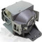 PanPacSight Originale Lampe Vidéoprojecteur P-VIP 240/0.8 E20.9N avec Ben Q W1070 W1070+ W1070+W W1080 W1080ST W1080ST+ 5J.J7L05.001/5j.j9h05.001 Ampoule