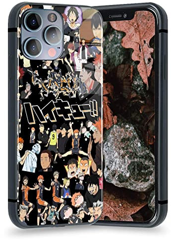 Haikyuu Karasuno Anime-Handyhülle, Manga, Hartglas, glänzend, für iPhone 11 Pro Max
