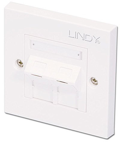 LINDY CAT5e Single Wall Plate with 2 x Angled RJ-45 Shuttered Socket Unshielded