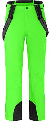 Bergson Flex | Herren Skihose, wattiert, bielastisch, 20000 mm Wassersäule, Green Gecko [272], 58 - Herren