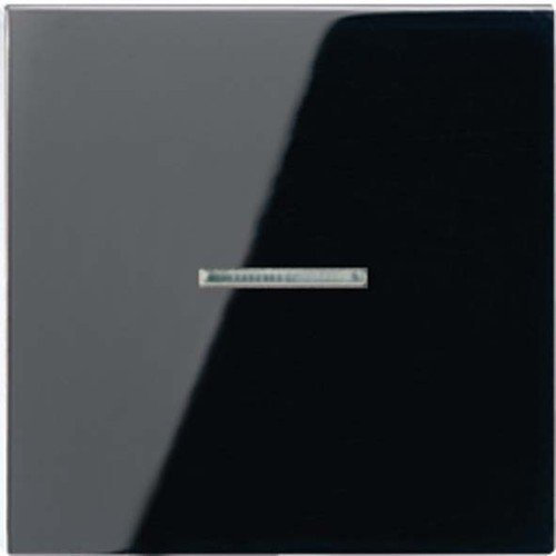 Jung A590KO5SW Wippe f. Schalter/Taster KO
