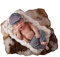 Matissa Neugeborene Fotografie Prop Baby Kostüm niedlich Crochet Strickmütze Cap Mädchen Jungen Windel Schuhe