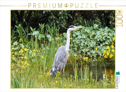 CALVENDO Puzzle Graureiher | 1000 Teile Lege-Größe 64 x 48 cm Foto-Puzzle für glückliche Stunden