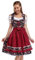 KOJOOIN Trachtenkleid Damen Dirndl Kurz mit Stickerei Exklusives Designer für Oktoberfest - DREI Teilig: Kleid, Bluse, Schürze Rot Weinrot Blumen 38