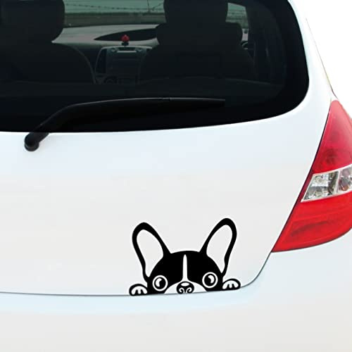 Peeking French Bulldog Car Sticker Vinyl Decal 180mm | Outdoor-grade waterproof vinyl, precision cut with no background, for cars, vans, caravans, campervans, windows & bumpers