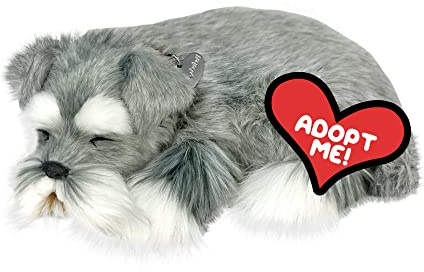 Perfect Petzzz Schnauzer Hundewelpen, die wirklich atmen