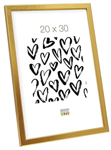 Deknudt Frames S41JA1 Cadre Photo Bois Fin Or 20 x 30 cm