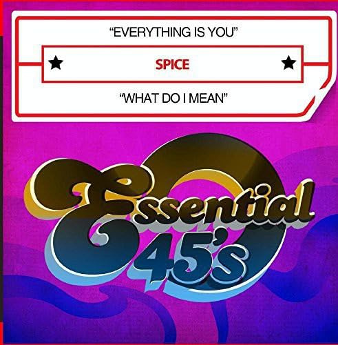 Everything Is You / What Do I Mean