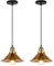 iDEGU 2 Stück Pendelleuchten Retro Industrie Hängelampe Design Edison aus Metall Vintage Deckenleuchte E27 Hängeleuchte für Esszimmer Küche Wohnzimmer (2x Gold)