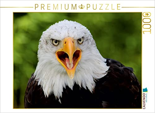 CALVENDO Puzzle Weißkopfseeadler | 1000 Teile Lege-Größe 64 x 48 cm Foto-Puzzle für glückliche Stunden