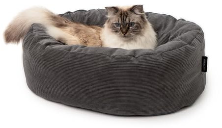 LucyBalu® Dinghy Katzenbett waschbar für kleine & große Katzen | Katzen Schlafplatz | Katzenkissen | Katzensofa | Katzen Kuschelbett | Katzen Bettchen | Katzen Couch | Katzen Liegeplatz | Anthrazit