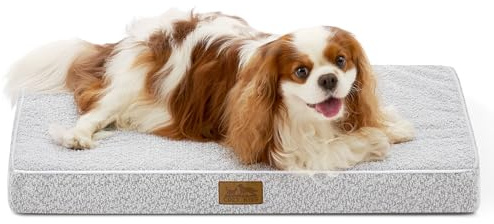 COZY KISS Orthopädisches Hundebett Grosse Hunde - 61x 41x 8 cm Hundekissen Waschbar Hundematte mit Abnehmbarer Bezug, Hundematratze Rutschfester Unterseite, Grau