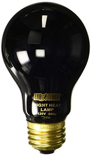 Exo Terra Night Heat Lamp, Mondscheinlampe für Reptilien und Amphibien, 150W, Fassung E27, Blau