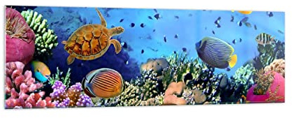 ARTTOR Bilder auf Glas 160x50cm Wandbild Glasdruck Natur Reisen - 3569 | Koralle Riff Panorama Groß XXL Modern Dekoration Wohnzimmer Schlafzimmer Küche Wanddeko Kunstdruck Art Wall Decor ARTTOR