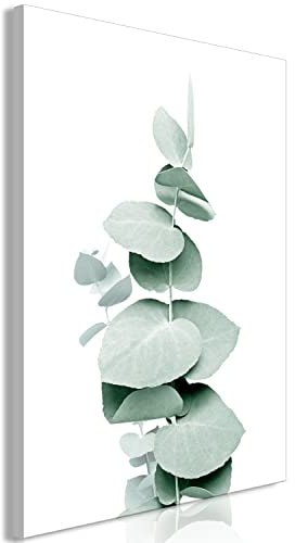 murando - Wandbilder Eukalyptus 40x60 cm Vlies Leinwandbild 1 tlg Kunstdruck modern Wandbilder XXL Wanddekoration Design Wandbild Blätter Natur Pflanze Ast weiß grün Abstrakt