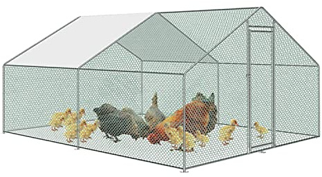 Cecaylie Hönshall, kattinhägnad, utomhus, hage 3 x 3 x 2 m, förzinkat stålinhägnad för fjäderfä, kaniner, små husdjur, hundar
