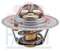 Facet 7.8202S Termostato, Refrigerante