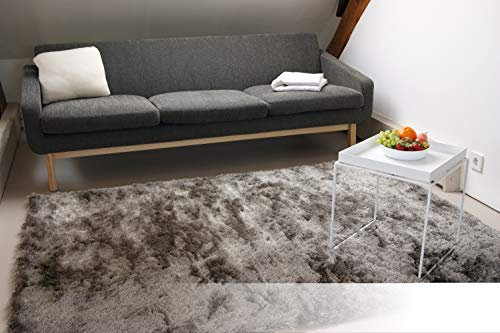 floor factory Exklusiver Hochflor Shaggy Teppich Satin Silber/grau 120x170 cm - edler, seidig glänzender Teppich