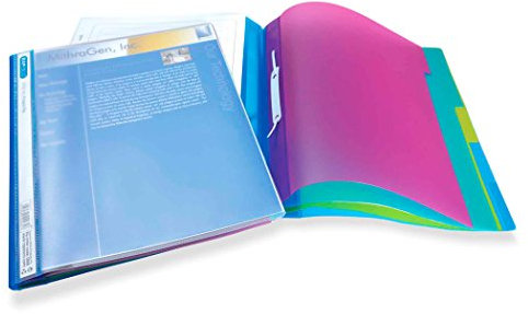 Rapesco 0668 Classeur de Projet en Plusieurs Divisions, A4, Transparent avec Intercalaires Colorés, Lot de 5