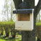 Nistkasten Halbhöhlenbrüter Bausatz Manufaktur Martinshof L:15,50 cm B: 15,50 cm H: 22,00 cm Ausführung Halbhöhlenbrüter geeignet für Bachstelze, Grauschnäpper, Hausrotschwanz, Rotkehlchen