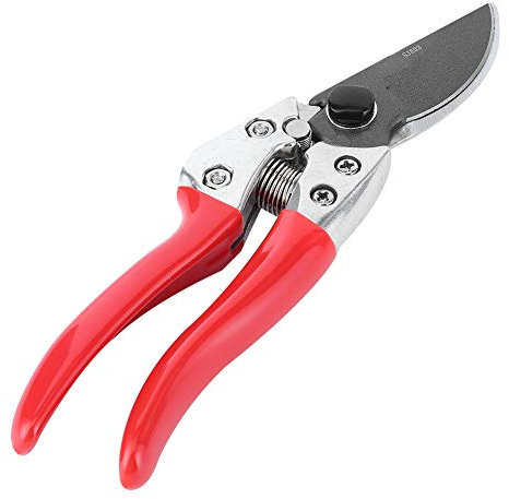 Sécateur agricole professionnel de jardin, sécateur de taille-bordures de fleur d'arbre fruitier, sécateur de main