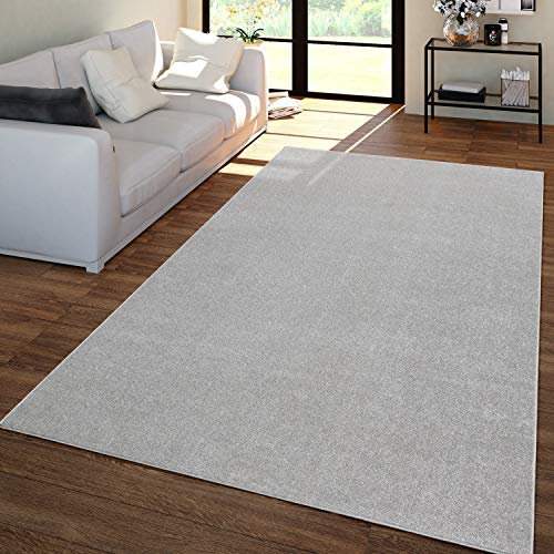 TT Home Wohnzimmer Teppich Kurzflor Unifarbendes Design Modern Und Zeitlos, Farbe:Silber, Größe:80x150 cm