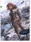 Displate Elder Scrolls Metallposter Elder Scrolls Skyrim Poster Elder Scrolls Bild Skyrim Leinwand Skyrim Poster The Elder Scrolls The Elder Scrolls Legends Avatars Female Nord Poster 32x45cm