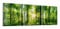 DEQORI Glasbilder Acrylglas | Motiv Sonne durchbricht Wald | horizontal 3-teilig 150x50 cm | große XXL Deko | Wandbilder für Wohnzimmer, Schlafzimmer, Flur & Küche | moderne Wanddeko
